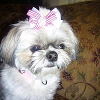 Profile Image for Teresa.