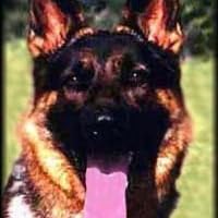 Profile Image for Landis.