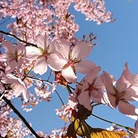 Profile Image for Brittney DeFriez.