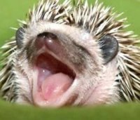 What's Hidden Inside Planets? by Sabine Stanley | Goodreads