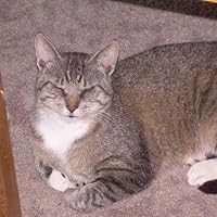 The Illustrated Encyclopedia of Cat Breeds: The Comprehensive