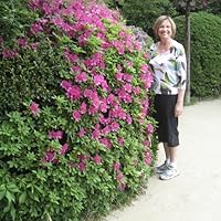 Profile Image for Cathy.