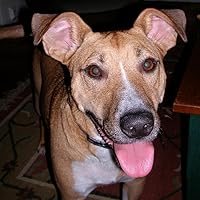 Profile Image for Marissa.