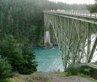 Profile Image for Allison.