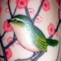 Profile Image for DeAnna.