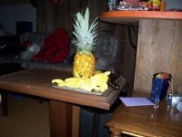 Profile Image for Abbie.