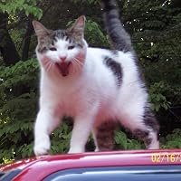Profile Image for lucky lucy schlachter.