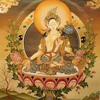Profile Image for Tara.