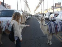 Profile Image for Tina Mumm.