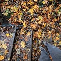 Profile Image for Christopher.