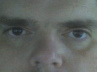 Profile Image for Derek Knox.
