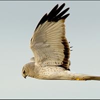 Profile Image for Jim.