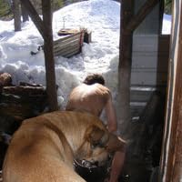 Profile Image for Jesse Taylor.