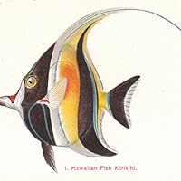 Profile Image for Ed Bierman.