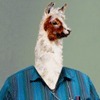 Profile Image for Matt Kemberling.