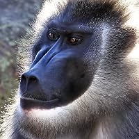 Profile Image for Andrew Dalrymple.