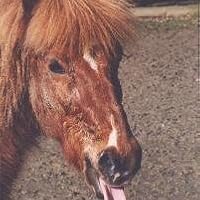 I Have a Horse of My Own by Charlotte Zolotow | Goodreads