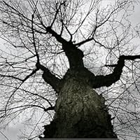 Profile Image for Denny.