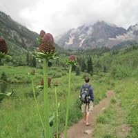 Profile Image for Jeremy Barker.