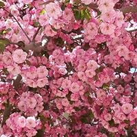 Profile Image for Ashley.