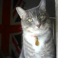 The Cat Who Tailed a Thief (Cat Who, #19) by Lilian