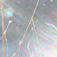 Profile Image for Rachel .