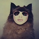 Profile Image for Jill the Ripper.