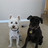 Profile Image for Hoosier.