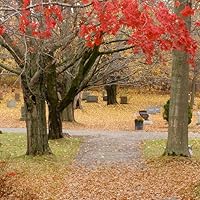 Profile Image for Karen.