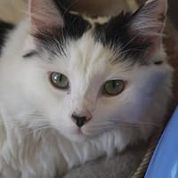 Profile Image for Beth.