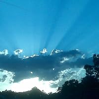 Profile Image for Jennifer Madden.