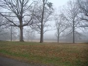 Profile Image for Ms211.