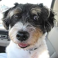 Profile Image for Jim Perry.