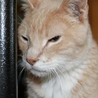 Profile Image for Becky.