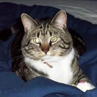 Profile Image for Gail.