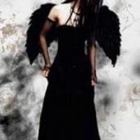 Profile Image for Angelique Polizzi.