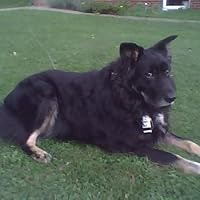 Profile Image for Sue.