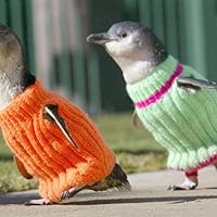 Profile Image for Jolene.