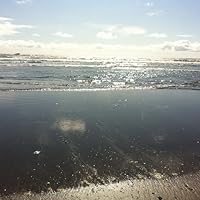 Profile Image for Lauren.