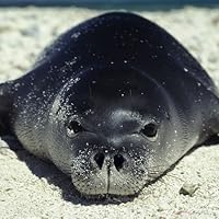 Profile Image for Sarah.