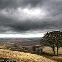 洋書 The Cat Jumps Elizabeth Bowen 1949 The Cat Jumps Elizabeth Bowen 1949 