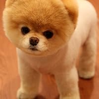 Profile Image for Torrie.