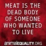 Profile Image for Wendy.