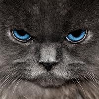 Profile Image for 04nicks.