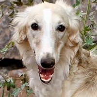 Profile Image for Joyce.