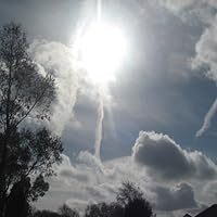 Profile Image for CaroleDee.