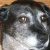 Profile Image for Laura Tallent.