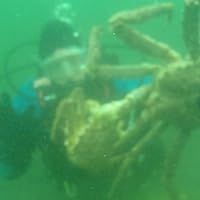 Profile Image for Sherry Tamone.