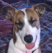 Profile Image for Pamela Renee.