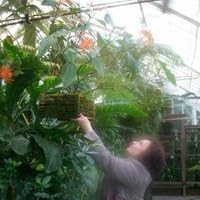 Profile Image for Jenya.